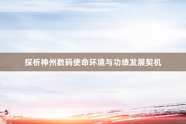 探析神州数码使命环境与功绩发展契机
