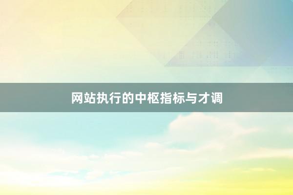 网站执行的中枢指标与才调